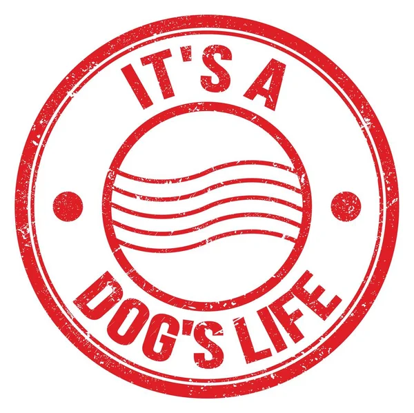 Egy Dog Life Szöveg Piros Kerek Postai Bélyegzővel Írva — Stock Fotó