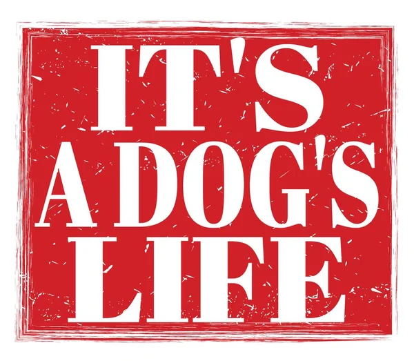 Dog Life Written Red Grungy Stamp Sign — Stock Fotó