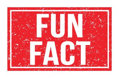 Eğlenceli gerçek, kırmızı dikdörtgen mühür işareti üzerine yazılmış kelimeler