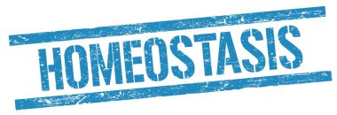 Mavi grungy dikdörtgen damga işareti üzerinde HOMEOSTASIS metni.