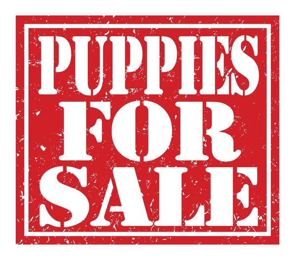 Puppies Sale Words Written Red Stamp Sign — Fotografia de Stock
