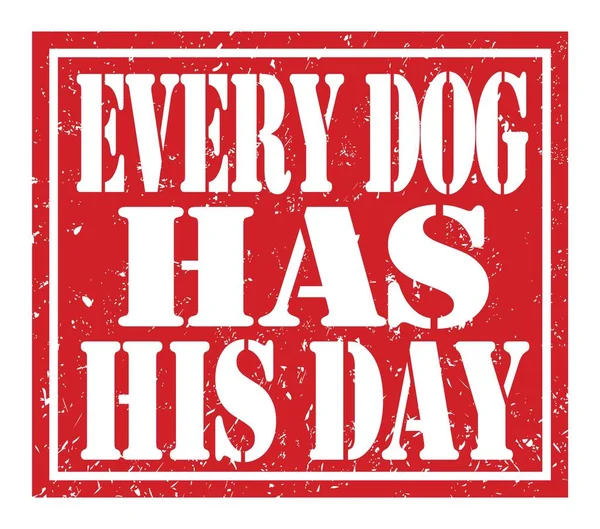 Every Dog Has His Day Words Written Red Stamp Sign — Photo