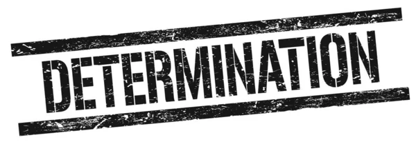 Determination Text Black Grungy Rectangle Stamp Sign — ストック写真