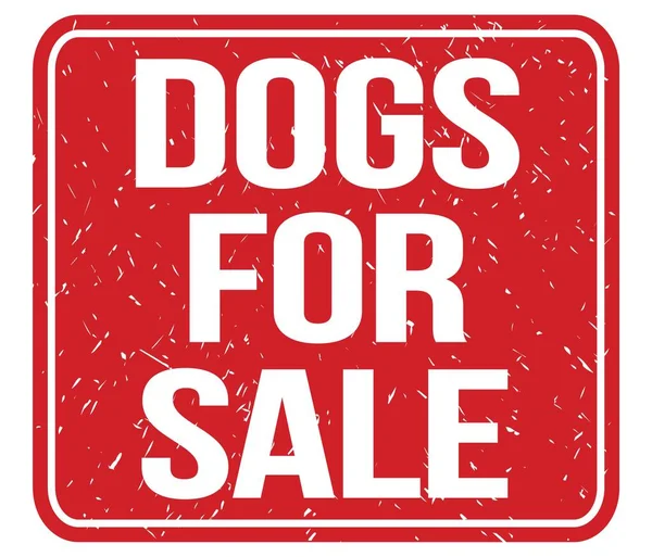 Σκυλα Προσ Πωληση Κείμενο Γραμμένο Κόκκινο Vintage Σφραγίδα Υπογράψει — Φωτογραφία Αρχείου