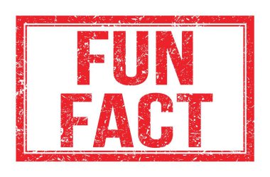 Eğlenceli gerçek, kırmızı dikdörtgen mühür işareti üzerine yazılmış kelimeler