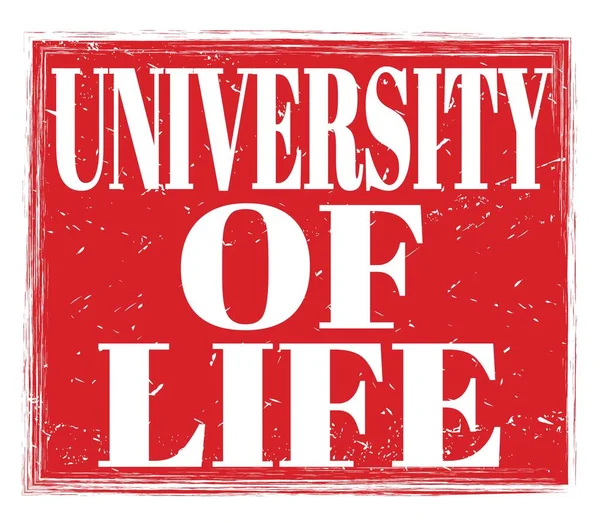 Πανεπιστημιο Ζωησ Γραμμένο Πάνω Κόκκινη Grungy Σφραγίδα — Φωτογραφία Αρχείου