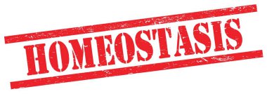 Kırmızı grungy dikdörtgen vintage damga üzerinde HOMEOSTASIS metin.
