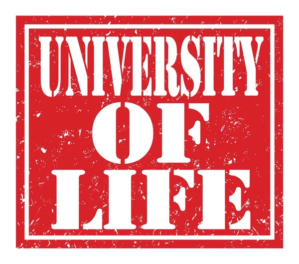 University Life Words Written Red Stamp Sign — Stock Photo, Image