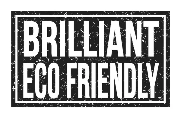 Brilliant Eco Friendly Words Written Black Rectangle Stamp Sign — Stock Photo, Image