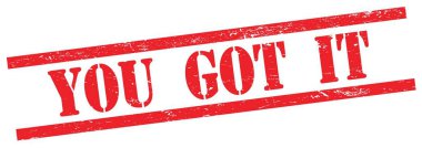 Kırmızı, kirli, dikdörtgen, klasik damgalı bir IT mesajı aldın..