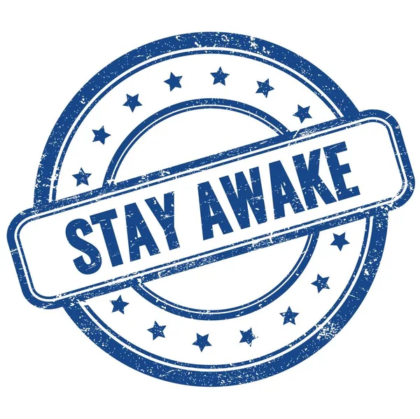 Stay Awake Text Auf Blauem Vintage Grungy Runden Gummistempel — Stockfoto