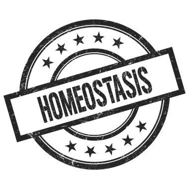Siyah yuvarlak vintage kauçuk damga üzerine yazılmış HOMEOSTASIS metni.