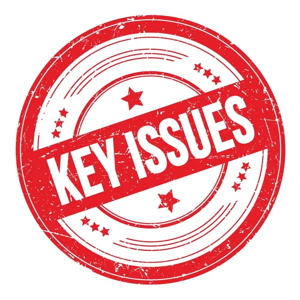Key Issues Text Red Grungy Texture Stamp — Stock Photo, Image