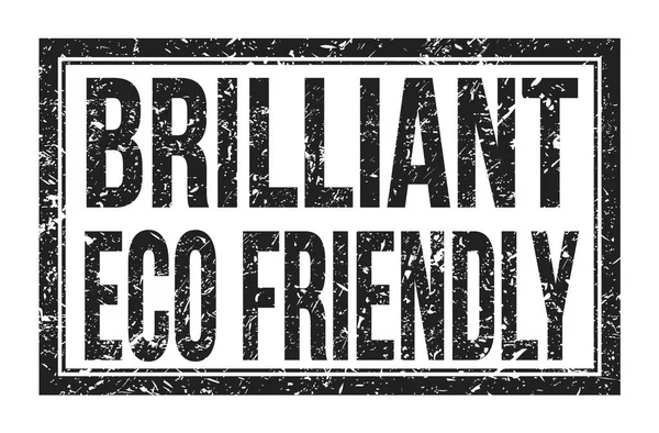 Brilliant Eco Friendly Λέξεις Γραμμένες Μαύρο Ορθογώνιο Σήμα Σφραγίδα — Φωτογραφία Αρχείου