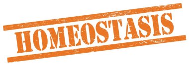 Turuncu grungy dikdörtgen vintage damga üzerinde HOMEOSTASIS metin.
