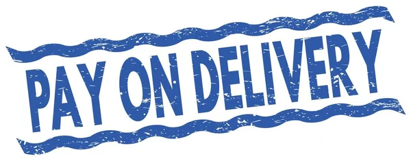 Pay Delivery Text Written Blue Lines Stamp Sign — 스톡 사진