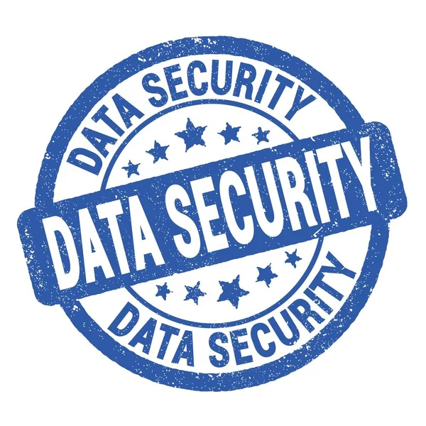 Data Security Text Written Blue Grungy Stamp Sign — Stockfoto