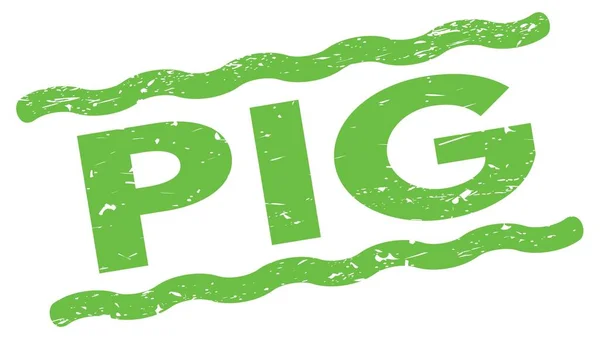 Текст Pig Написан Зеленой Линии — стоковое фото