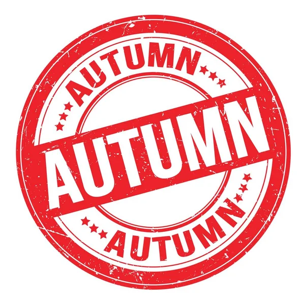 Autumn Text Written Red Grungy Stamp Sign — Stock Photo, Image