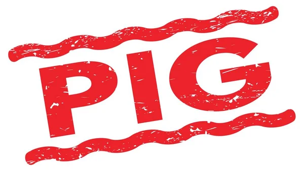 Pig Tekst Napisany Czerwonych Liniach Znak Znaczka — Zdjęcie stockowe