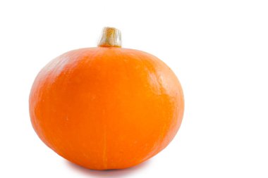 Beyaz bir arkaplanda kabak izole