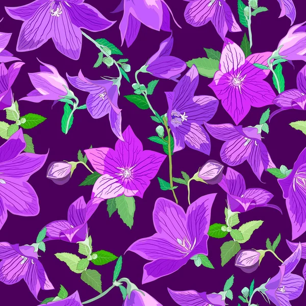 Kusursuz desenli Campanula çiçekleri eflatun tonları ve koyu mor arka planda yapraklar.