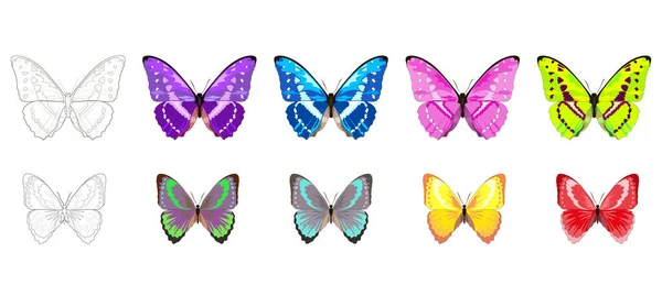 Набор Бабочек Примерами Различных Цветов Дизайна — стоковый вектор