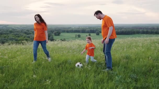 Anne, baba ve kız parkta top oynarken eğleniyorlar. Genç aile futbol takımı dışarıda oynuyor. Üç kişilik mutlu bir aile birbirlerine futbol topu atarken futbol oynuyorlar. — Stok video