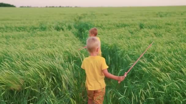 Niños, niños corren con espadas en sus manos a través del campo de trigo, jugando caballeros medievales. Los niños pelean con una espada de juguete. Los niños juegan a los caballeros. Concepto de infancia feliz. Niño jugando a los superhéroes — Vídeo de stock