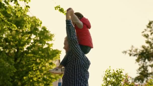 Ojciec, dzieciak bawiący się w parku. Szczęśliwa rodzina, wspólnota. Tata chodzi z dzieckiem na ramionach, on i jego córka marzą o lataniu, rodzina bawi się na zewnątrz w słońcu. Weekend natury — Wideo stockowe