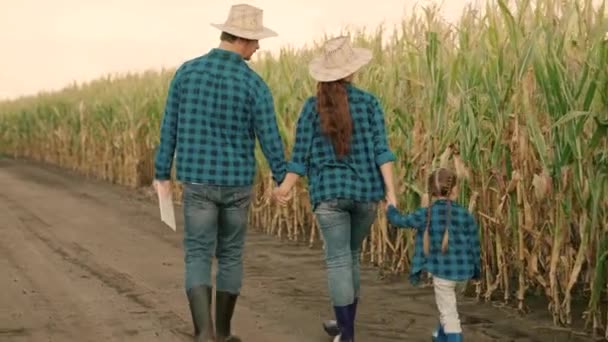 Familia feliz de agricultores caminando en un campo de maíz en otoño. Agricultores, El niño camina en el campo de maíz, junto a su padre y su madre, feliz infancia. Papá, mamá, bebé, hija caminan tomados de la mano en el campo. — Vídeo de stock