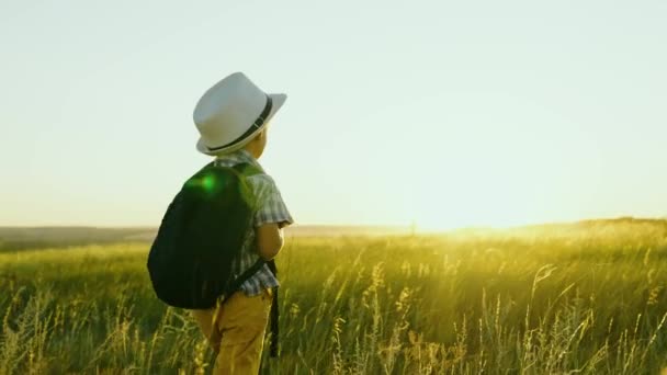 Mały chłopiec podróżuje z plecakiem w letnim parku. Szczęśliwe dziecko marzy o zostaniu podróżnikiem, małe sztuki na polu o zachodzie słońca. Dziecko wychodzi na zewnątrz. Dzieciństwo, sny o przygodach, odkrycia — Wideo stockowe