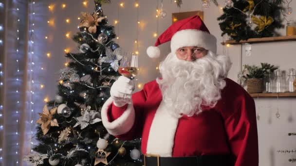 Babbo Natale augura Buon Natale tiene in mano un bicchiere di spumante. Vacanze di Natale in famiglia. Santa e la notte di Natale. Albero di Natale a casa di Babbo Natale. Vacanze di Capodanno, festa divertente. — Video Stock