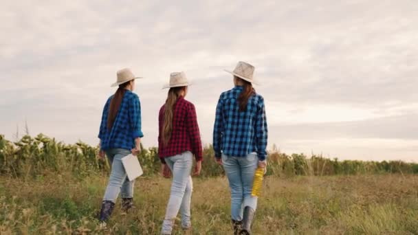 Trois femmes partenaires discutent de la récolte du tournesol. Un groupe de agricultrices travaillant dans un champ de tournesol, inspecter le champ, huile végétale. Travail d'équipe dans l'agro-industrie. Huile de tournesol végétale — Video