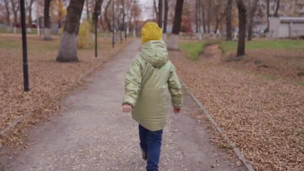 A gyermek ősszel játszik a parkban. A kölyök rohangál, a gyerekek kardot fognak. Aranyos kislány, fut végig a gyönyörű őszi utcában haza. Boldog gyermeki ünnepeket. Boldog család sétál a parkban. — Stock videók