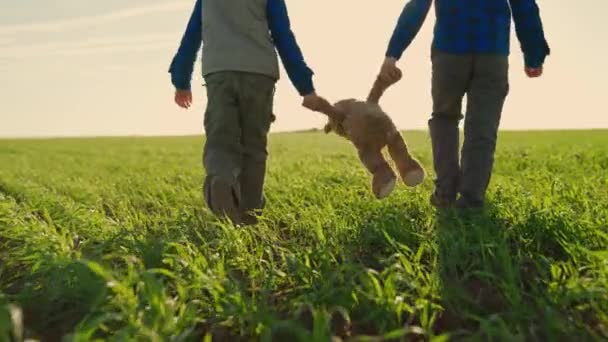 Leuke kinderen met teddybeer op groen veld. Jongens kinderen gaan spelen met teddybeer in het park. Gelukkige jongens spelen met hun favoriete speeltje met teddybeer in park op groen veld. Teddy beer in handen van kind — Stockvideo