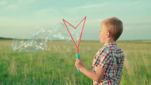 Child, boy play in the park in the summer, blowing bubbles. Beautiful bubbles are flying, happy children. Wind blows out lot of soap bubbles, child experiences emotions of happiness, surprise delight — Stock Video