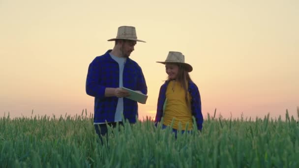 Apa és lánya együtt dolgoznak egy búzamezőn, hogy megvitassák az aratást. A gazdák apja egy digitális táblagéppel megosztja tapasztalatait egy fiatal szakemberrel. Intelligens gazdálkodás, növekvő gabona — Stock videók