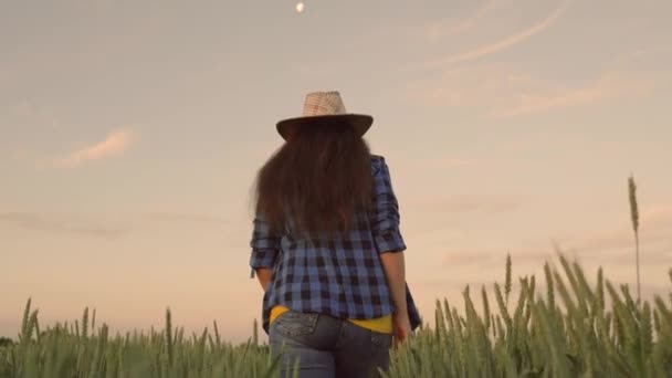 En bondkvinna går genom vetefältet och rör vid de gröna öronen med händerna. Jordbrukaren arbetar, rör vid öronen på vete, inspekterar skörden. Jordbruksföretag. — Stockvideo