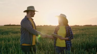 Çiftçi ve işadamı, iş ortakları bir buğday tarlasında dijital tablet kullanarak bir anlaşma yaptılar. İki çiftçi erkek ve kadın birlikte çalışır, el sıkışırlar. Tarım sektörü konsepti, yoldaşlar