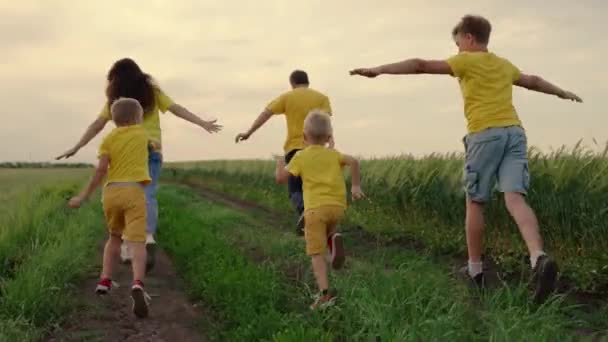 Rodinná týmová práce, hraní venku. Synové, děti, máma, táta běhají, hrají si, radují se, užívají si přírody na venkově v létě. Synové a rodiče, dětské sny, radost a smích. Rodinné hodnoty — Stock video