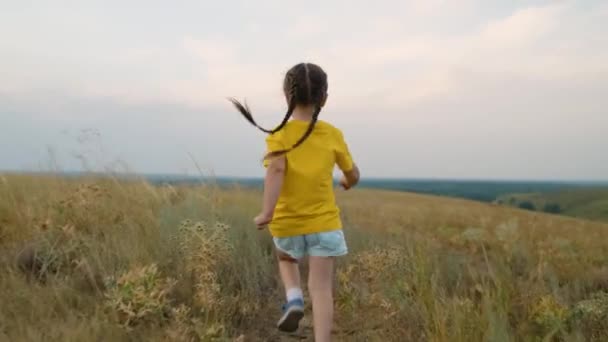 Fata fericită aleargă în parcul de toamnă pe iarbă. Un copil activ, vesel. Fetiţa se joacă în natură. Fantezii pentru copii. Copilul aleargă peste câmp. Copil sportiv. Conceptul de vis din copilărie — Videoclip de stoc