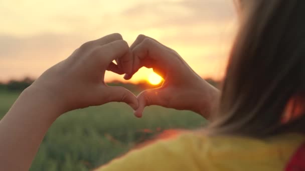 Šťastná holka, co dělá prsty tvar srdce. Světlo letního jarního slunce je na mých rukou. Cestování, odpočinek v přírodě. Dívka si vytvarovala z dlaní srdce lásky. Koncept zdravého srdce — Stock video