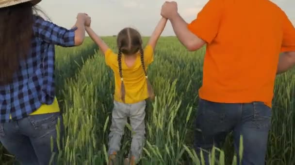 Egy boldog család egy gyerekkel, aki kézen fogva rohangál a mezőn. Anya, apa, a lányuk a zöld búzamezőn játszik, boldog gyerekkort! Egy farmercsalád. Családi hétvége nyáron — Stock videók
