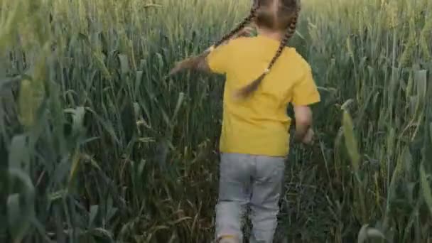 Glückliches Mädchen rennt auf ein Weizenfeld und lächelt. Das Kind spielt im Park. Ein lustiges Kinderspiel auf der grünen Wiese. Kindheitstraum. Glückliche Familie reist im Sommer zusammen. — Stockvideo