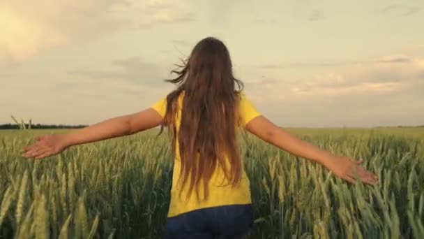 Gratis flicka joggar glatt över vetefältet på sommaren. Glad ung flicka springer på ett grönt vetefält. En tonåring drömmer om att flyga och håller händerna som vingarna på ett flygplan. Barndom — Stockvideo