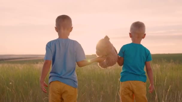 Des enfants mignons avec un ours en peluche sur un champ vert. Un ours en peluche dans les mains d'un enfant. Les enfants garçons vont jouer avec un ours en peluche dans le parc. Amis heureux jouant avec jouet préféré avec ours en plein air — Video