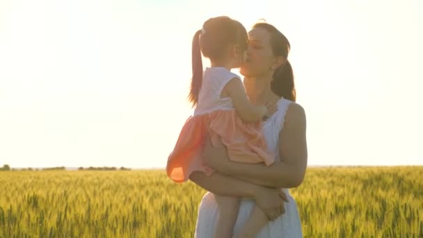 Annesinin kollarında küçük bir kız, buğday tarlasında birlikte yürüyorlar, sarılıp öpüşüyorlar. Mutlu bir aile, bir çocuk ve anne yazın parkta yürüyor. Çiftçi kadın ve çocuk tarlada — Stok video