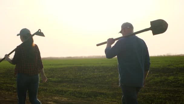 Farmers in boots walk with tools with shovels, hoe across field with green shoots. Workers walk on ground in spring, plantation of seedlings at sunset. Agriculture. Man and woman are working in field — Stock Video