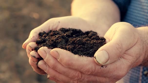 As mãos fortes do fazendeiro mantêm o punhado do solo fértil. Conceito de agricultura, agronegócio. O jardineiro tem húmus, solo fertilizado, solo composto nas palmas das mãos. Agricultura fertilidade. Cultivar culturas na exploração agrícola — Vídeo de Stock